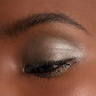 Chantecaille Luminescent Eye Shades Rhino