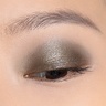 Chantecaille Luminescent Eye Shades Rhino