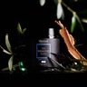 WelleCo The Immune Elixir