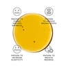 Irene Forte Phytomelatonin Rejuvenating Serum with  Dr. Ferri 70% APM™