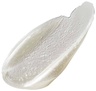 Briogeo Style + Treat Yuzu + Plum Oil Supreme Shine Strengthening Oil