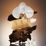 PHLUR Vanilla Skin Body Oil
