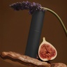 The Core We Care Magnesium Body Spray Starter Kit