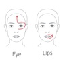 Dr. Levy Switzerland The Contour Pro